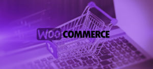 developpeur woocommerce